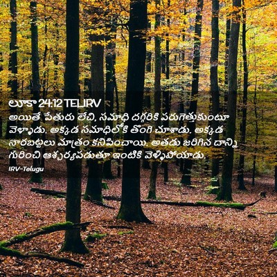 Picture 02 - లూకా 24:12 TELIRV - అయితే పేతురు లేచి, - Bible Verse Picture