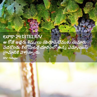 Picture 02 - లూకా 24:13 TELIRV - ఆ రోజే ఇద్దరు - Bible Verse Picture