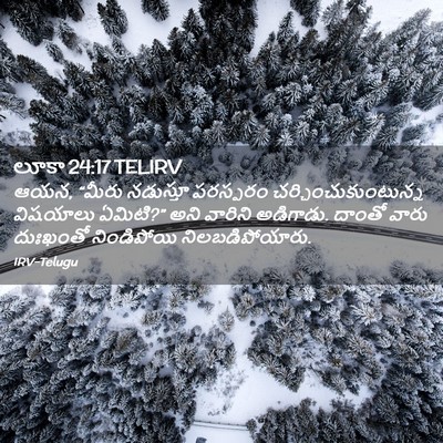 Picture 02 - లూకా 24:17 TELIRV - ఆయన, “మీరు నడుస్తూ - Bible Verse Picture