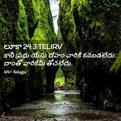 Picture 02 - లూకా 24:3 TELIRV - కానీ ప్రభు యేసు - Bible Verse Picture