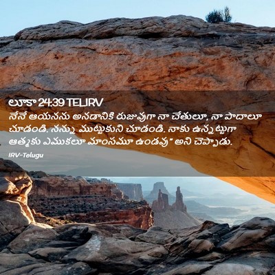 Picture 02 - లూకా 24:39 TELIRV - నేనే ఆయనను - Bible Verse Picture