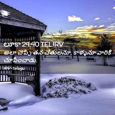 Picture 02 - లూకా 24:40 TELIRV - అలా చెప్పి తన - Bible Verse Picture