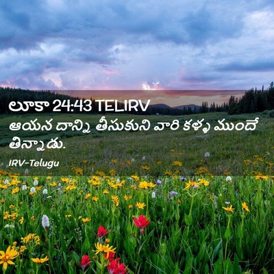 Picture 02 - లూకా 24:43 TELIRV - ఆయన దాన్ని - Bible Verse Picture