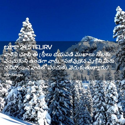 Picture 02 - లూకా 24:5 TELIRV - వారిని చూసి ఈ - Bible Verse Picture