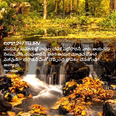 Picture 02 - లూకా 24:7 TELIRV - మనుష్య కుమారుణ్ణి - Bible Verse Picture