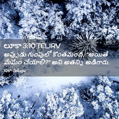 Picture 02 - లూకా 3:10 TELIRV - అప్పుడు గుంపులో - Bible Verse Picture