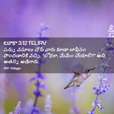 Picture 02 - లూకా 3:12 TELIRV - పన్ను వసూలు చేసే - Bible Verse Picture