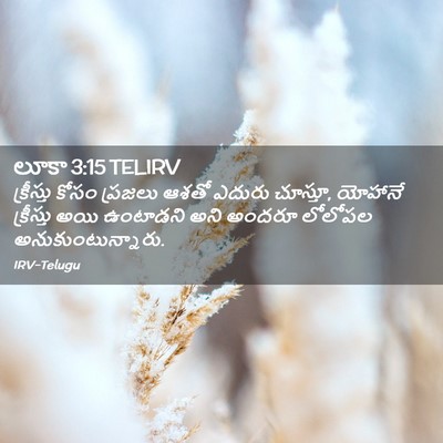 Picture 02 - లూకా 3:15 TELIRV - క్రీస్తు కోసం - Bible Verse Picture