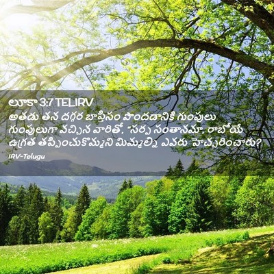 Picture 02 - లూకా 3:7 TELIRV - అతడు తన దగ్గర - Bible Verse Picture