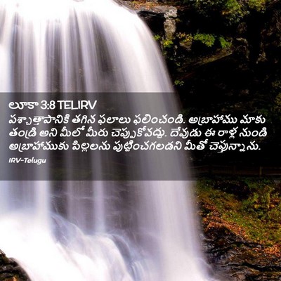 Picture 02 - లూకా 3:8 TELIRV - పశ్చాత్తాపానికి - Bible Verse Picture