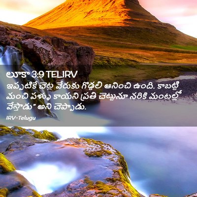 Picture 02 - లూకా 3:9 TELIRV - ఇప్పటికే చెట్ల - Bible Verse Picture