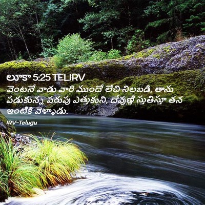 Picture 02 - లూకా 5:25 TELIRV - వెంటనే వాడు వారి - Bible Verse Picture