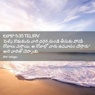 Picture 02 - లూకా 5:35 TELIRV - పెళ్ళి కొడుకును - Bible Verse Picture
