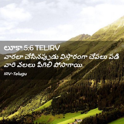 Picture 02 - లూకా 5:6 TELIRV - వారలా చేసినప్పుడు - Bible Verse Picture