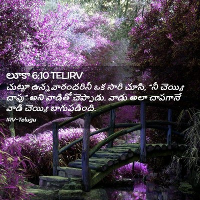 Picture 02 - లూకా 6:10 TELIRV - చుట్టూ - Bible Verse Picture