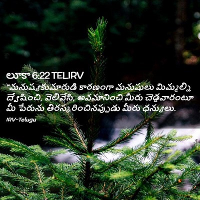 Picture 02 - లూకా 6:22 TELIRV - “మనుష్యకుమారుడి - Bible Verse Picture