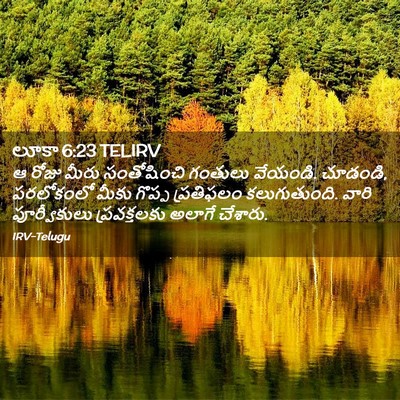 Picture 02 - లూకా 6:23 TELIRV - ఆ రోజు మీరు - Bible Verse Picture