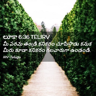 Picture 02 - లూకా 6:36 TELIRV - మీ పరమ తండ్రి - Bible Verse Picture