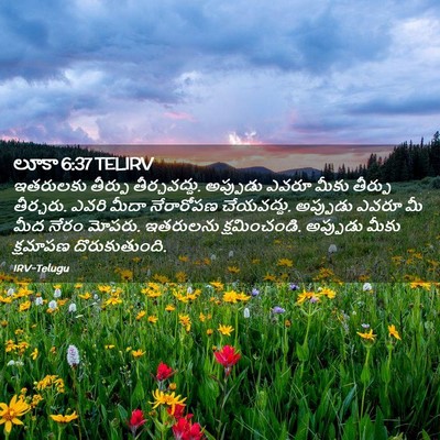 Picture 02 - లూకా 6:37 TELIRV - ఇతరులకు తీర్పు - Bible Verse Picture