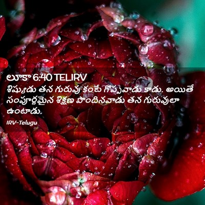 Picture 02 - లూకా 6:40 TELIRV - శిష్యుడు తన - Bible Verse Picture