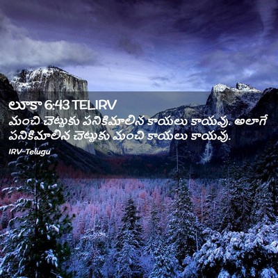 Picture 02 - లూకా 6:43 TELIRV - మంచి చెట్టుకు - Bible Verse Picture