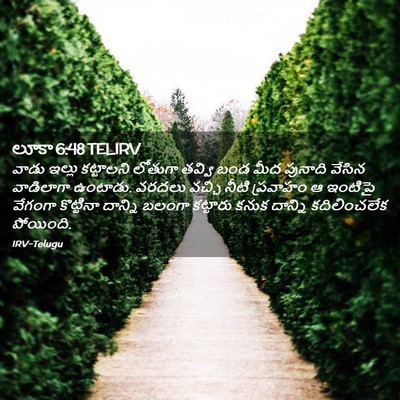 Picture 02 - లూకా 6:48 TELIRV - వాడు ఇల్లు - Bible Verse Picture