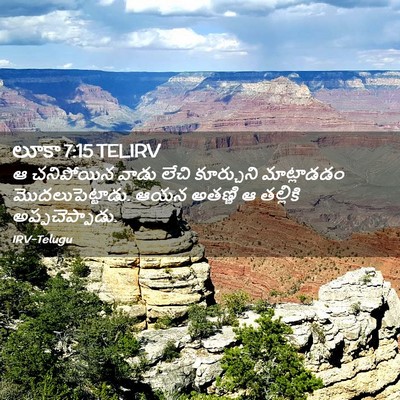 Picture 02 - లూకా 7:15 TELIRV - ఆ చనిపోయిన వాడు - Bible Verse Picture