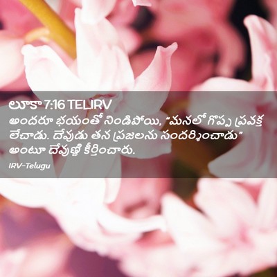 Picture 02 - లూకా 7:16 TELIRV - అందరూ భయంతో - Bible Verse Picture