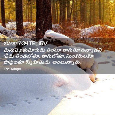 Picture 02 - లూకా 7:34 TELIRV - మనుష్య కుమారుడు - Bible Verse Picture