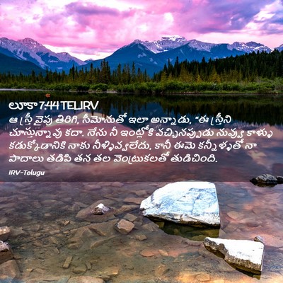 Picture 02 - లూకా 7:44 TELIRV - ఆ స్త్రీ వైపు - Bible Verse Picture