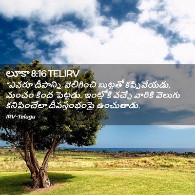 Picture 02 - లూకా 8:16 TELIRV - “ఎవరూ దీపాన్ని - Bible Verse Picture