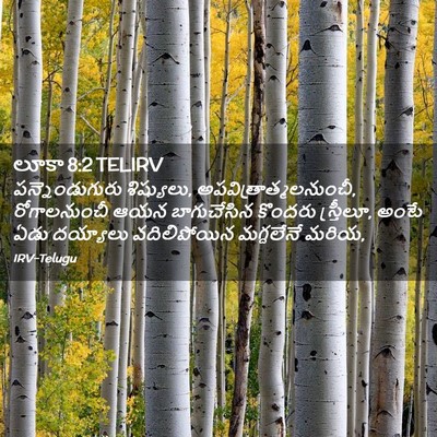 Picture 02 - లూకా 8:2 TELIRV - పన్నెండుగురు - Bible Verse Picture