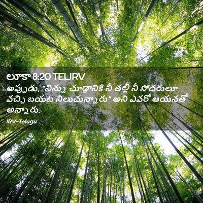 Picture 02 - లూకా 8:20 TELIRV - అప్పుడు, “నిన్ను - Bible Verse Picture