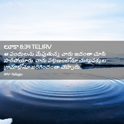 Picture 02 - లూకా 8:34 TELIRV - ఆ పందులను - Bible Verse Picture