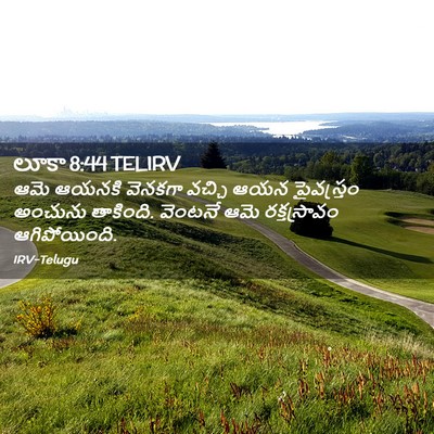Picture 02 - లూకా 8:44 TELIRV - ఆమె ఆయనకి వెనకగా - Bible Verse Picture