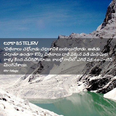 Picture 02 - లూకా 8:5 TELIRV - “విత్తనాలు - Bible Verse Picture