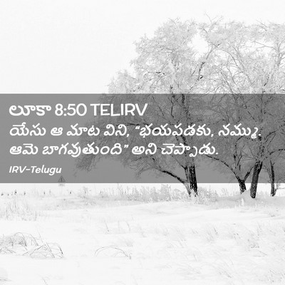 Picture 02 - లూకా 8:50 TELIRV - యేసు ఆ మాట విని, - Bible Verse Picture