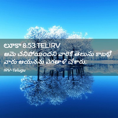 Picture 02 - లూకా 8:53 TELIRV - ఆమె చనిపోయిందని - Bible Verse Picture