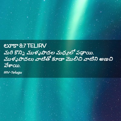 Picture 02 - లూకా 8:7 TELIRV - మరి కొన్ని - Bible Verse Picture