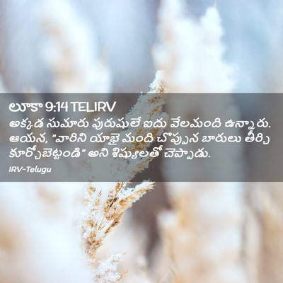 Picture 02 - లూకా 9:14 TELIRV - అక్కడ సుమారు - Bible Verse Picture