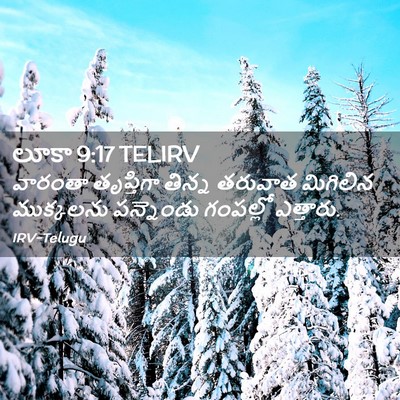 Picture 02 - లూకా 9:17 TELIRV - వారంతా తృప్తిగా - Bible Verse Picture