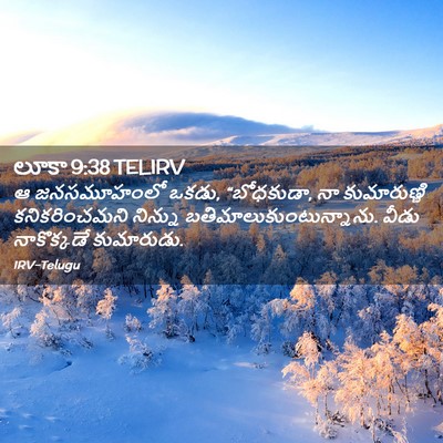 Picture 02 - లూకా 9:38 TELIRV - ఆ జనసమూహంలో ఒకడు, - Bible Verse Picture