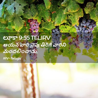 Picture 02 - లూకా 9:55 TELIRV - ఆయన వారి వైపు - Bible Verse Picture