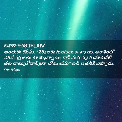 Picture 02 - లూకా 9:58 TELIRV - అందుకు యేసు, - Bible Verse Picture