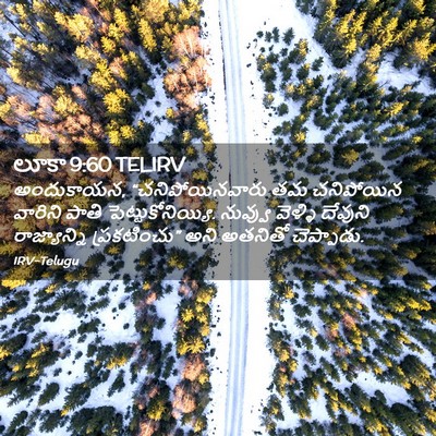 Picture 02 - లూకా 9:60 TELIRV - అందుకాయన, - Bible Verse Picture