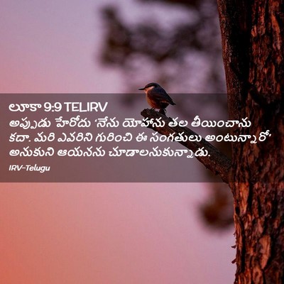 Picture 02 - లూకా 9:9 TELIRV - అప్పుడు హేరోదు - Bible Verse Picture