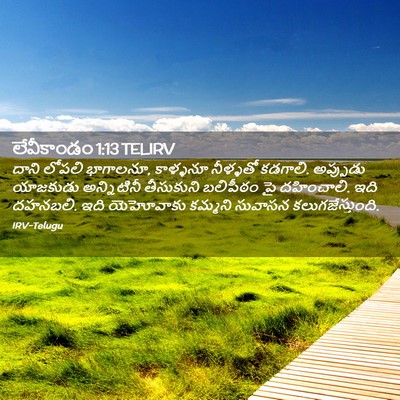 Picture 02 - లేవీకాండం 1:13 TELIRV - దాని లోపలి - Bible Verse Picture