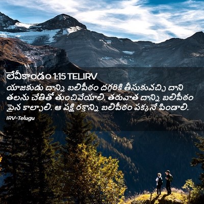 Picture 02 - లేవీకాండం 1:15 TELIRV - యాజకుడు దాన్ని - Bible Verse Picture