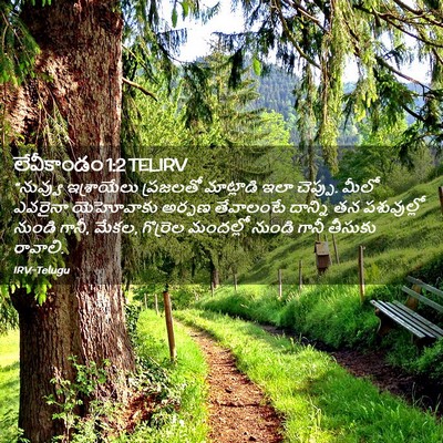 Picture 02 - లేవీకాండం 1:2 TELIRV - “నువ్వు ఇశ్రాయేలు - Bible Verse Picture