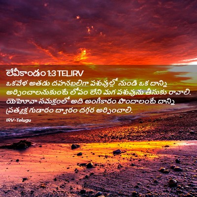 Picture 02 - లేవీకాండం 1:3 TELIRV - ఒకవేళ అతడు - Bible Verse Picture